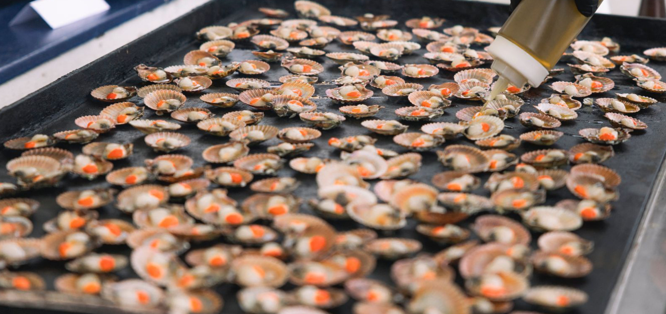 ristorante pesce bibione 3
